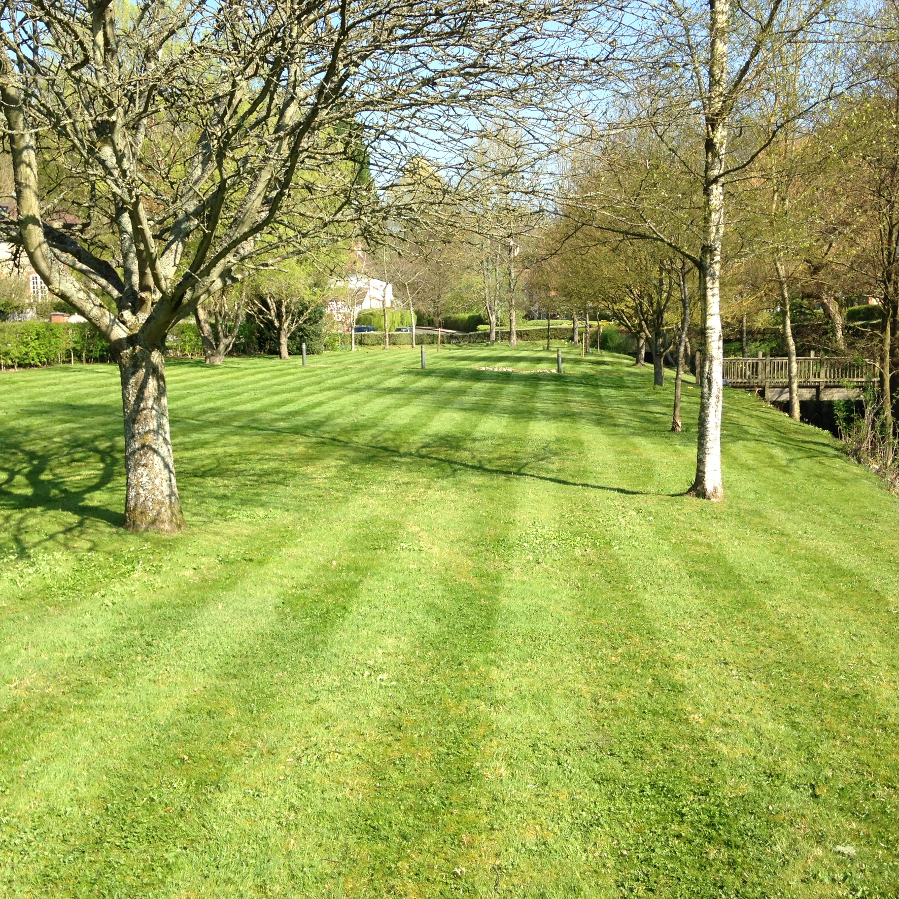 Landscaping Services