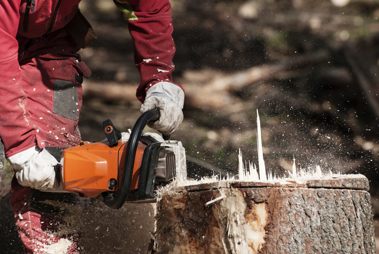 Stump Grinding Maidstone