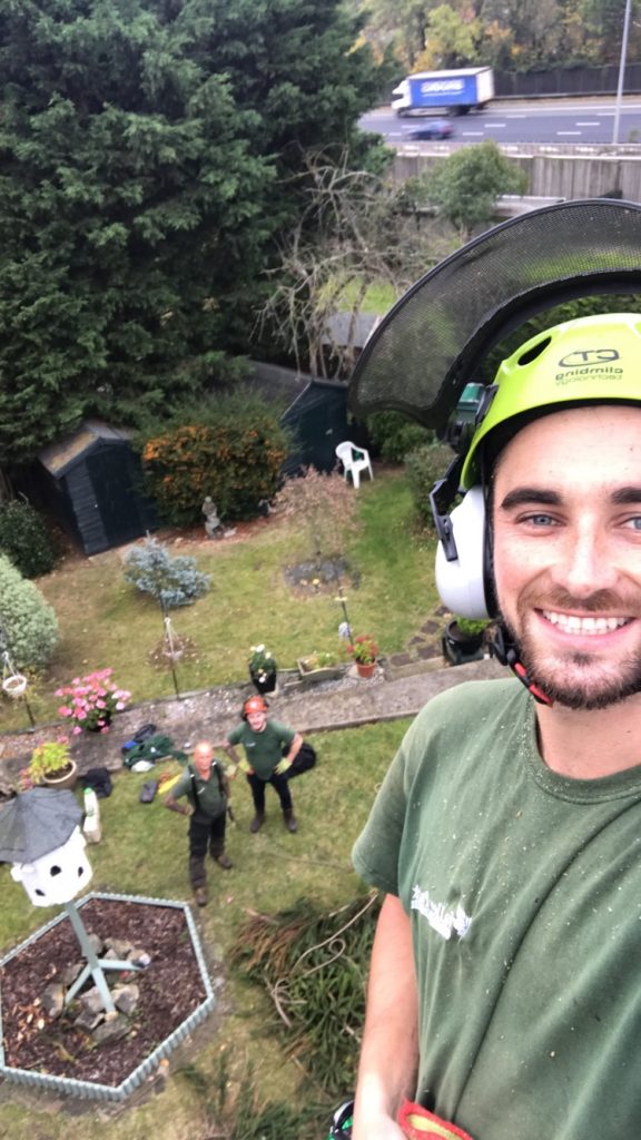 Tree Surgery Tonbridge