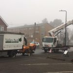 Tree Maintenance in Maidstone