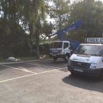 Tree Care Vans