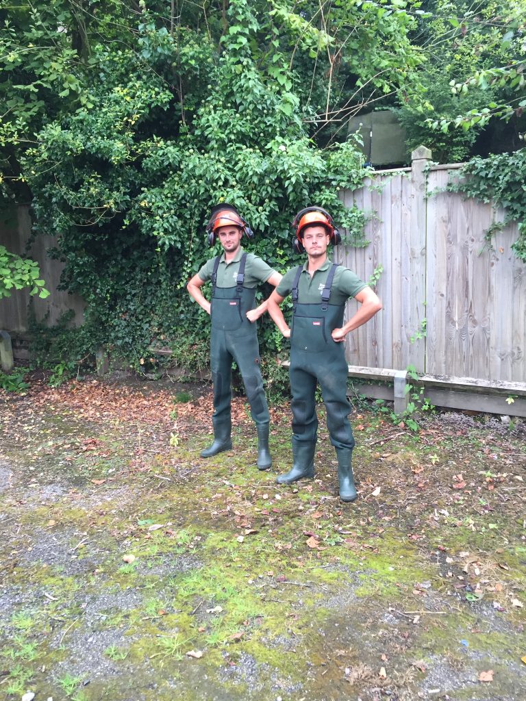 Tree Surgeon in Maidstone