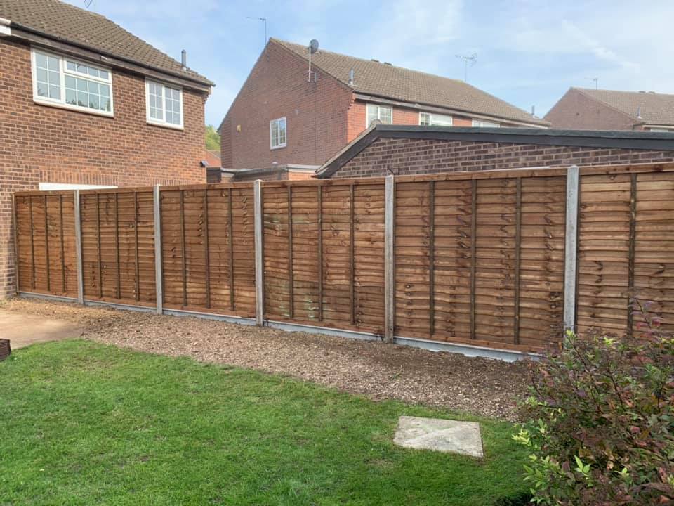 Tree Surgery Tunbridge Wells