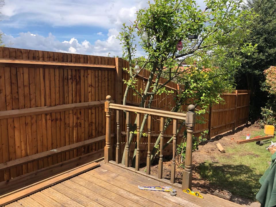 Tree Surgery Maidstone