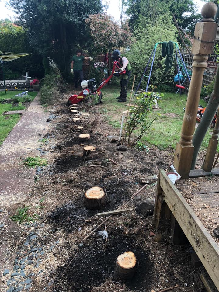 Tree Surgeon Tonbridge