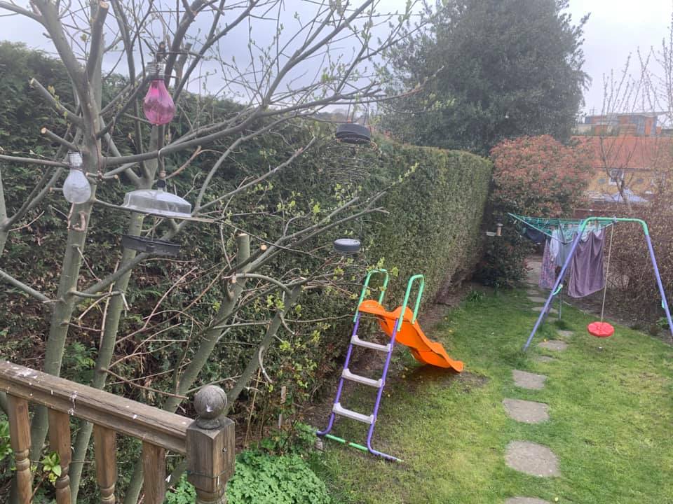 Tree Surgeon Tonbridge