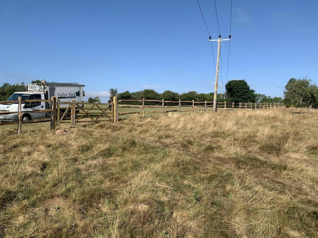 Tree Surgeon Maidstone