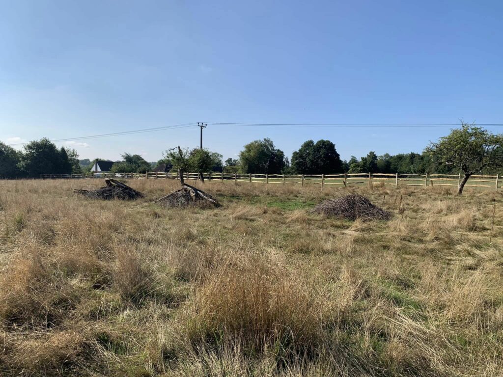 Tree Surgeon Maidstone