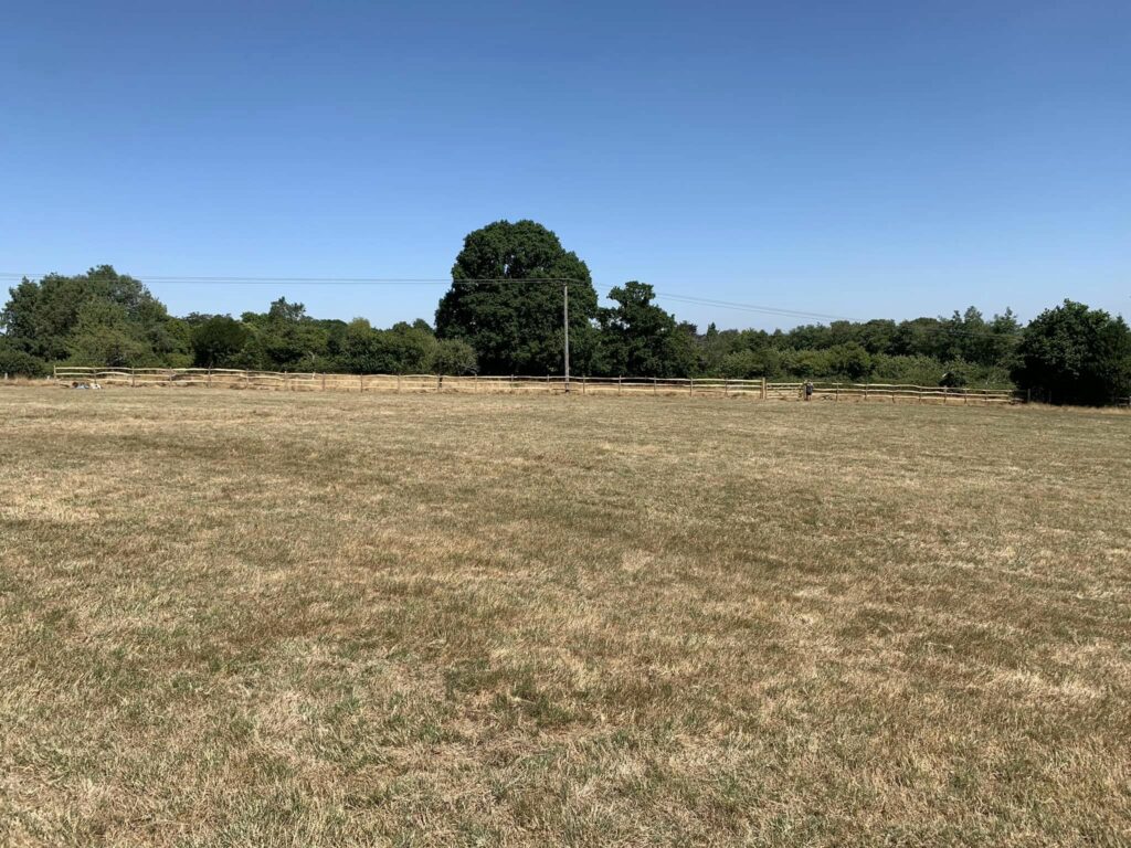 Tree Surgeon Maidstone